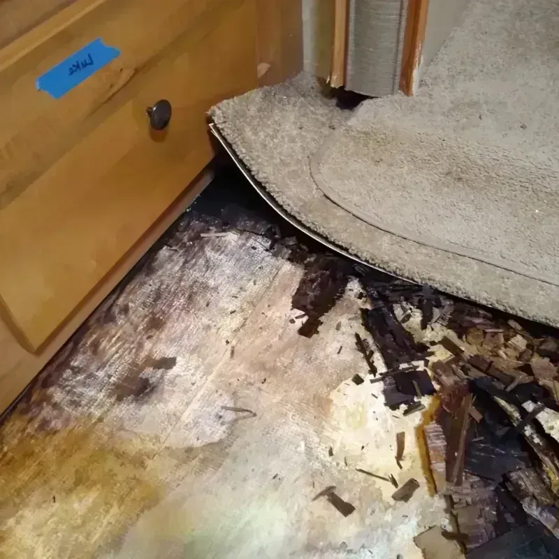 Best Wood Floor Water Damage Service in Ingalls, IN